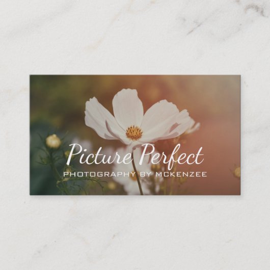 写真家、写真、名刺 名刺 (正面)