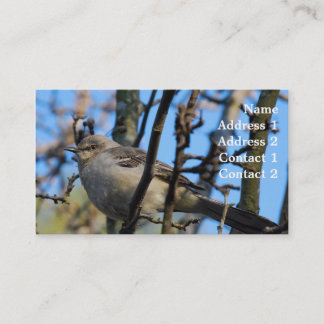 写真撮影の名刺 名刺