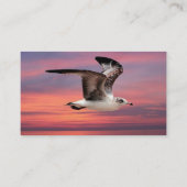 写真撮影の名刺 名刺 (裏面)