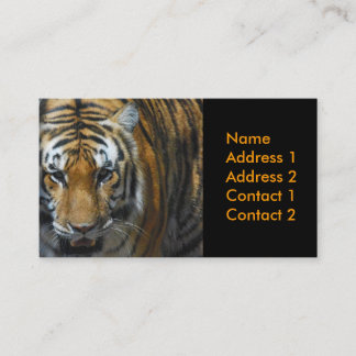 写真撮影の名刺 名刺