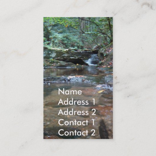 写真撮影の名刺 名刺 (正面)