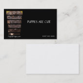 写真撮影の杖のCorsoの子犬 名刺 (正面/裏面)