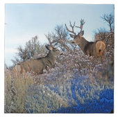 写真撮影のphotoshopの野性生物の芸術 タイル (正面)