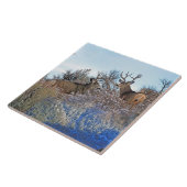 写真撮影のphotoshopの野性生物の芸術 タイル (側面)