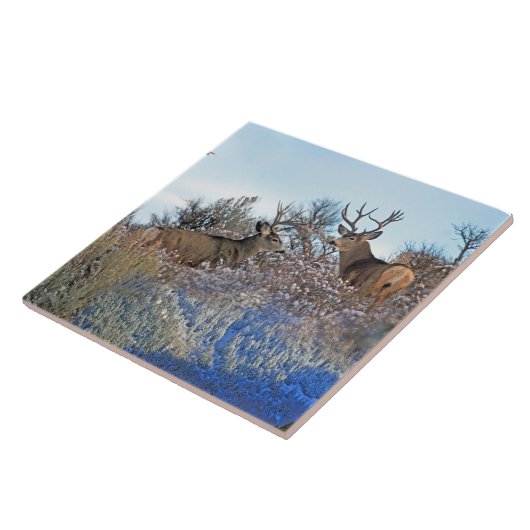 写真撮影のphotoshopの野性生物の芸術 タイル (側面)