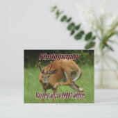 写真撮影, 自然の中で野生動物を撮影する最高の方法 ポストカード (スタンド正面)