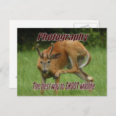 写真撮影, 自然の中で野生動物を撮影する最高の方法 ポストカード (正面/裏面)