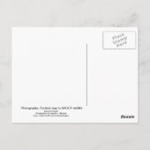 写真撮影, 自然の中で野生動物を撮影する最高の方法 ポストカード (裏面)