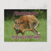 写真撮影, 自然の中で野生動物を撮影する最高の方法 ポストカード (正面)