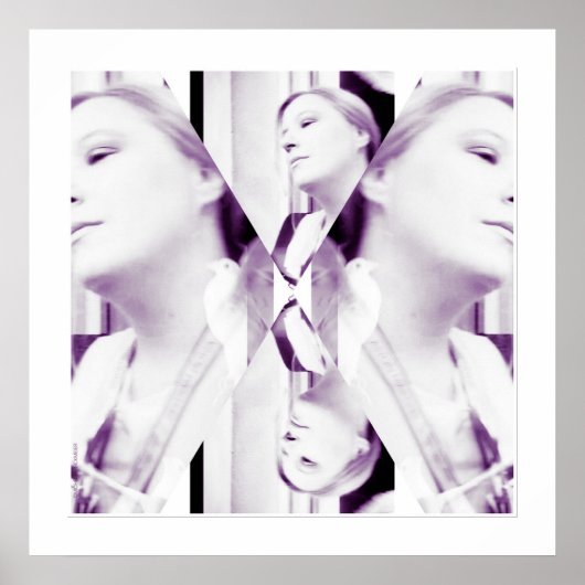 写真撮影　黒と白の写真　写真芸術 ポスター (正面)