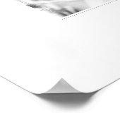 写真撮影　黒と白の写真　写真芸術 ポスター (角)