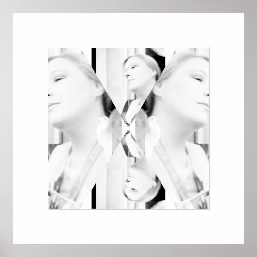 写真撮影　黒と白の写真　写真芸術 ポスター (正面)