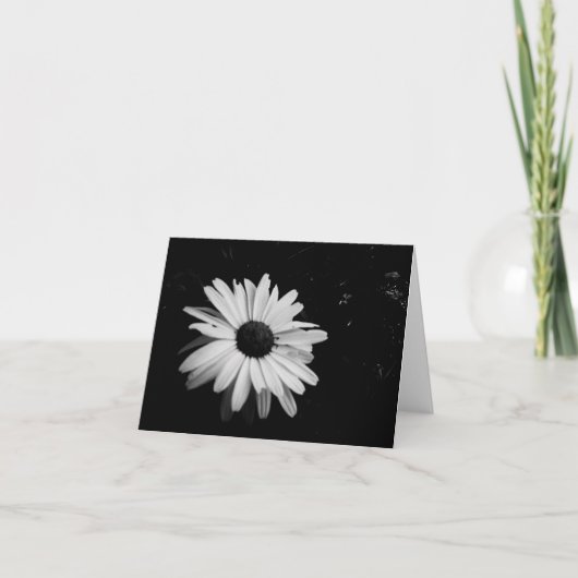 写真撮影Notecards カード (正面)