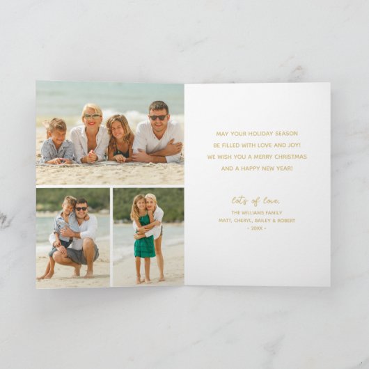 写真数々の熱帯折り畳みクリスマスホリデーカード カード (内部)