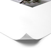 写真枠 ポスター (角)