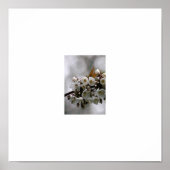 写真枠 ポスター (正面)