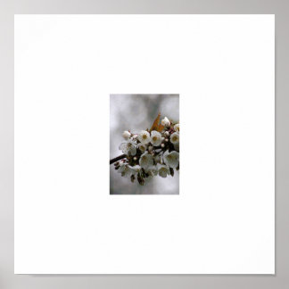 写真枠 ポスター