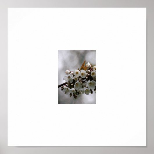 写真枠 ポスター (正面)