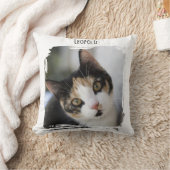 写真猫ペット クッション (ブランケット)