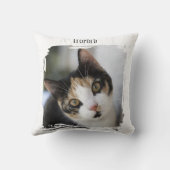 写真猫ペット クッション (裏面)