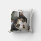 写真猫ペット クッション (正面)