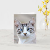 写真猫，ペット，動物。カード カード (黄色い花)