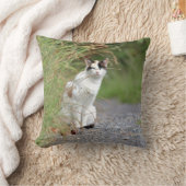 写真猫，動物。装飾用クッション クッション (ブランケット)