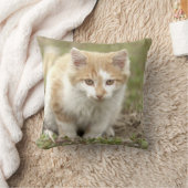 写真猫，動物。装飾用クッション クッション (ブランケット)