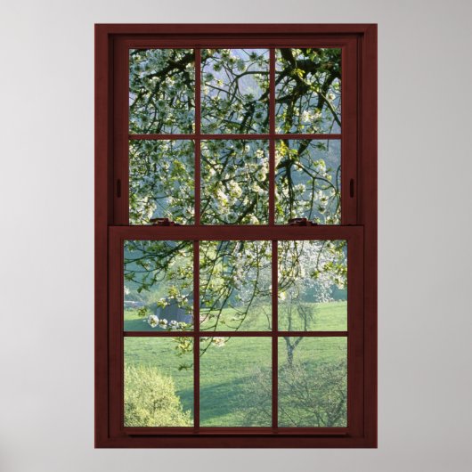 写真窓の風景 – さくらんぼの花。 ポスター (正面)