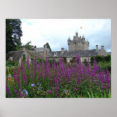 写真紫 ポスター (正面)