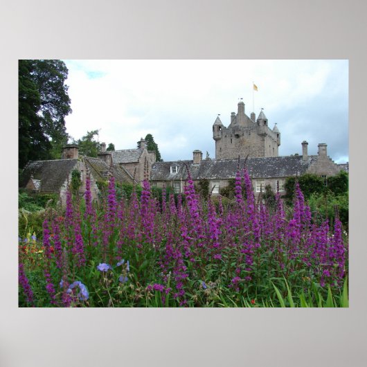 写真紫 ポスター (正面)