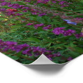 写真紫 ポスター (角)