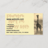 写真絵を描写真サファリサンセットフォトグラファー 名刺 (裏面)