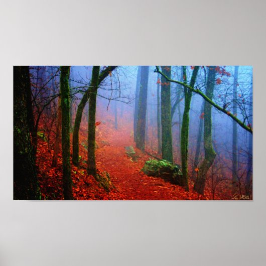 写真絵を描青霧の冬の歩道ポスター ポスター (正面)