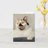 写真考えあいさつ文 カード (黄色い花)