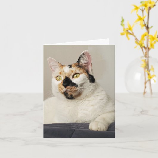 写真考えあいさつ文 カード (黄色い花)