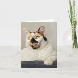 写真考えあいさつ文 カード