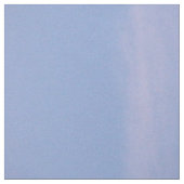 写真自由の女神 ファブリック (見本)