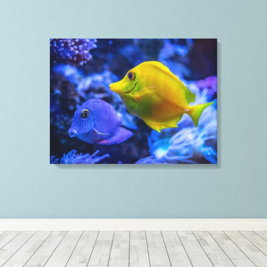 写真航海の海洋動物写真魚の写真 キャンバスプリント (インサイチュ (ウッドフロア))