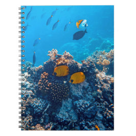 写真航海の海洋動物写真魚の写真 ノートブック