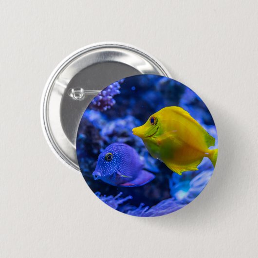 写真航海の海洋動物写真魚の写真 缶バッジ (正面&裏面)