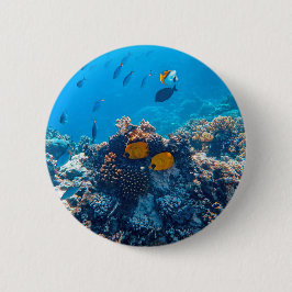 写真航海の海洋動物写真魚の写真 缶バッジ