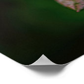 写真芸術 – 雨の中の赤い花。 ポスター (角)