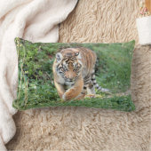 写真虎の猫、動物。装飾用クッション ランバークッション (ブランケット)