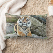 写真虎の猫、動物。装飾用クッション ランバークッション (ブランケット)