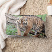 写真虎の猫、動物。装飾用クッション ランバークッション (ブランケット)