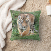 写真虎猫動物。装飾用クッション クッション (ブランケット)