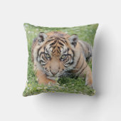 写真虎、動物0287。 クッション (裏面)