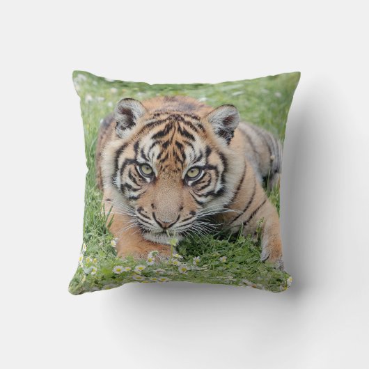 写真虎、動物0287。 クッション (裏面)