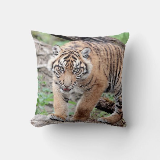 写真虎、動物0287。 クッション (正面)